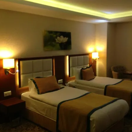 Asrin Business Kizilay Hotel 4*