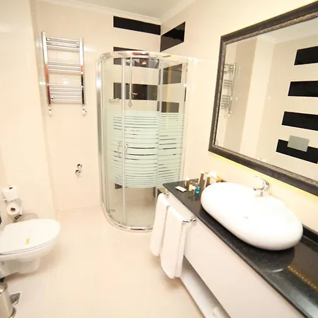 Asrin Business Kızılay Otel 4*