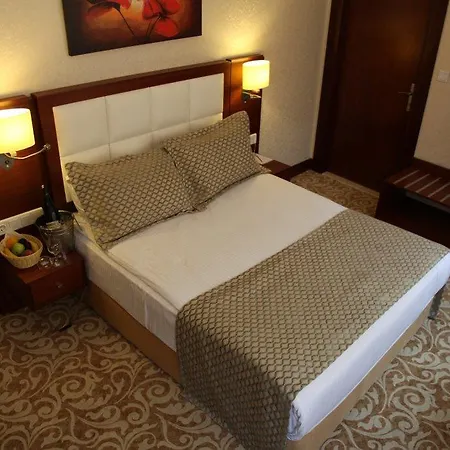 Asrin Business Kizilay Hotel