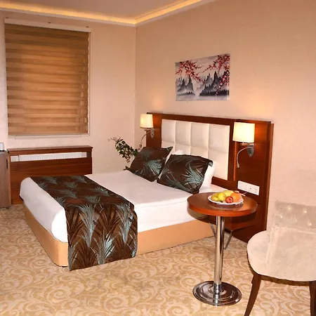 Hotel Asrin Business Kizilay