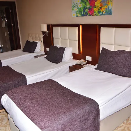Asrin Business Kizilay Hotel