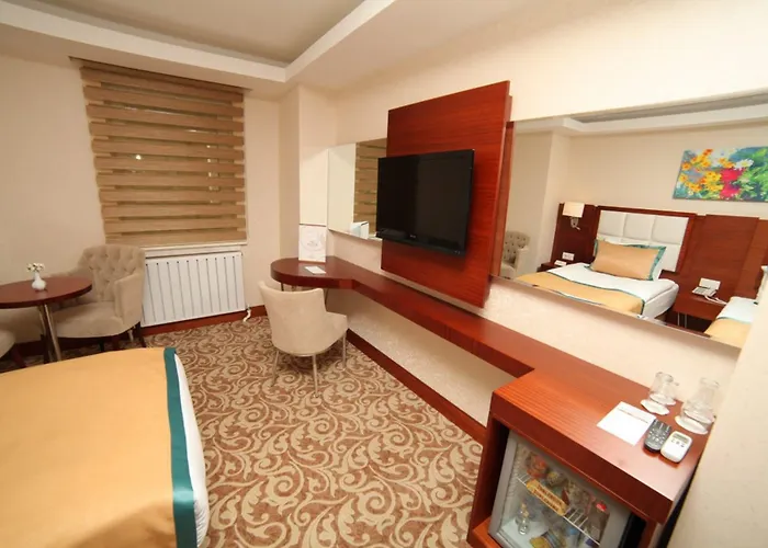 Hotel Asrin Business Kizilay 4*