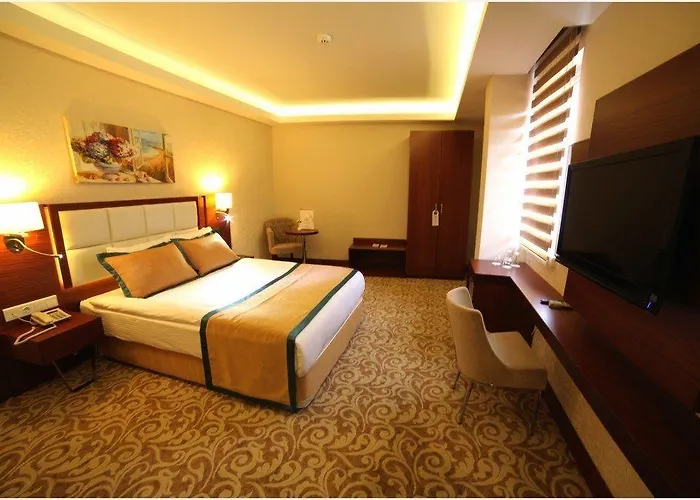 Asrin Business Kizilay ホテル 4*