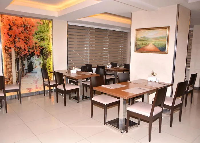 ホテル Asrin Business Kizilay