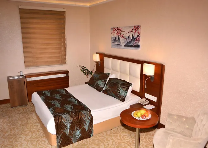 Asrin Business Kizilay Hotel 4*