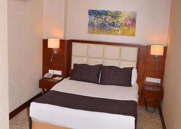 ホテル Asrin Business Kizilay 4*