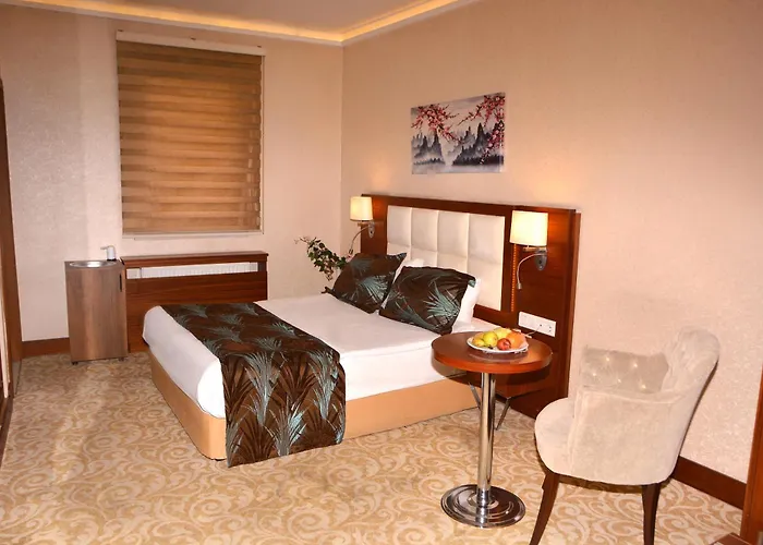 Hotel Asrin Business Kizilay