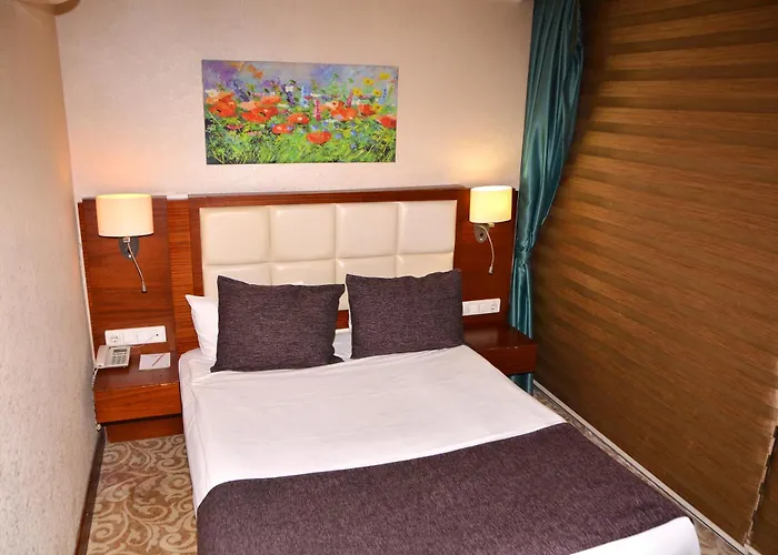 Hotel Asrin Business Kizilay Ankara