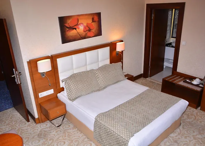 Asrin Business Kizilay Hotel 4*