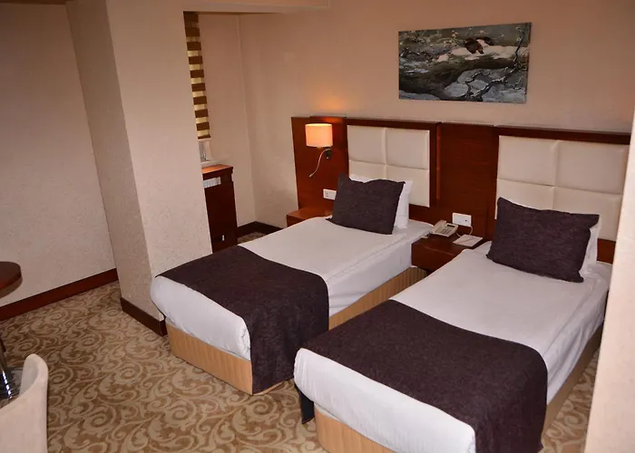 Asrin Business Kizilay Hotel Ankara