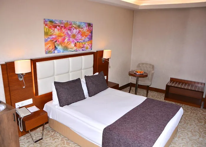 Asrin Business Kizilay Hotel Ankara