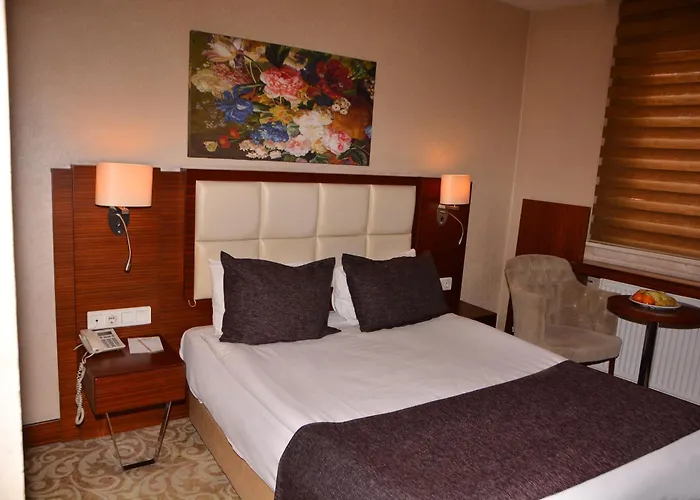 Hotel Asrin Business Kizilay