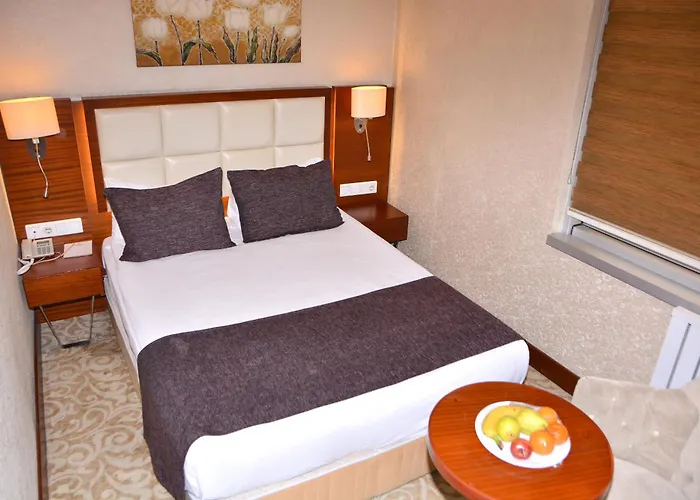 Asrin Business Kizilay Hotel Ankara