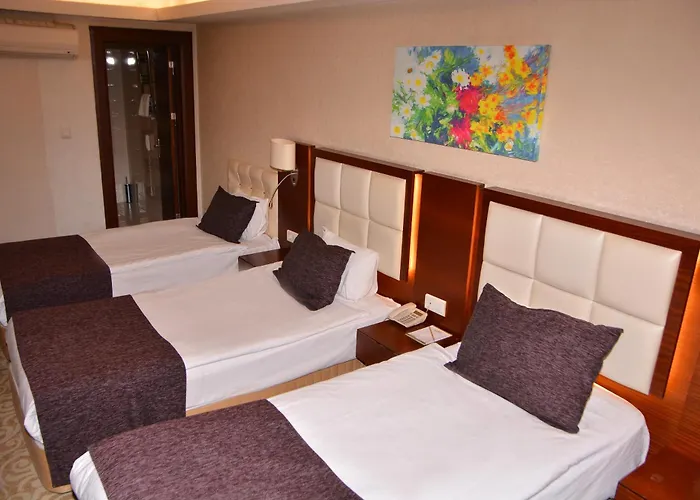 Hotel Asrin Business Kizilay