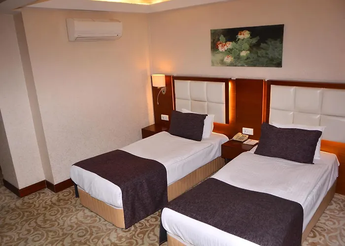 Asrin Business Kizilay Hotel 4*