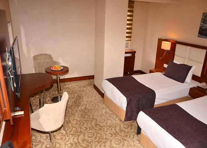Hotel Asrin Business Kizilay Ankara