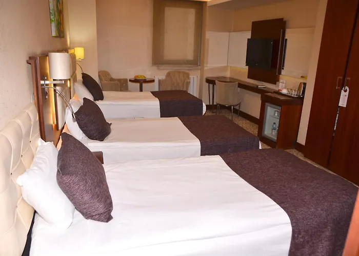 Asrin Business Kizilay 4*