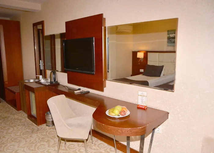 Asrin Business Kizilay 4* Ankara