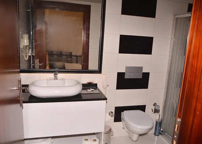 Asrin Business Kizilay 4* アンカラ