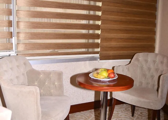 Asrin Business Kizilay Hotel