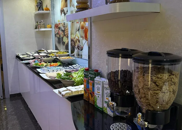 Hotel Asrin Business Kizilay 4*