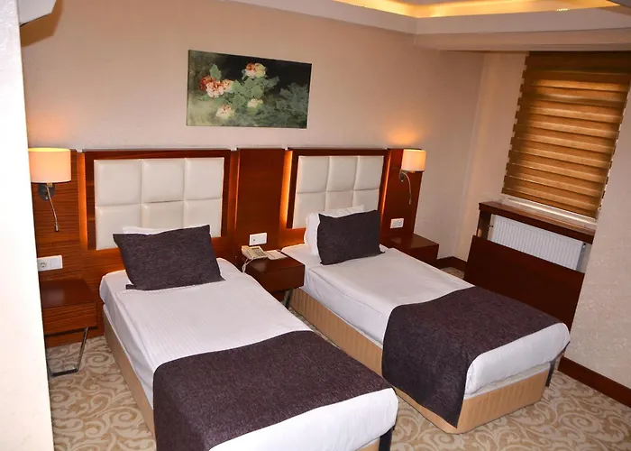 Hotel Asrin Business Kizilay Ankara