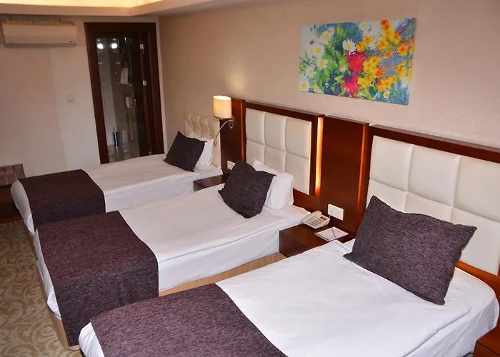 Asrin Business Kizilay 4* Ankara