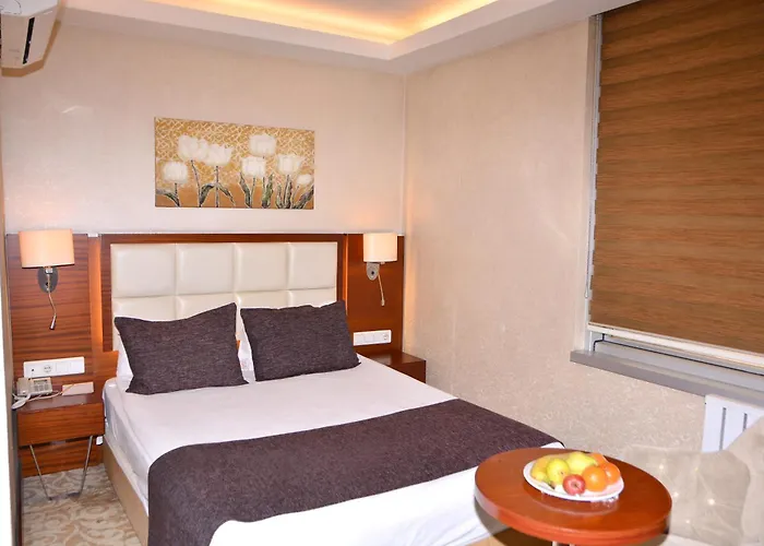 Asrin Business Kizilay Hotel 4*