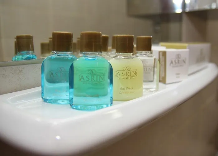 Asrin Business Kizilay Hotel 4*