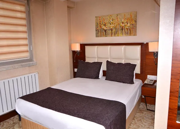 Asrin Business Kizilay 4*