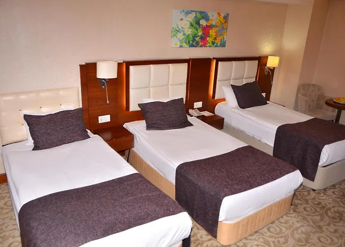 Hotel Asrin Business Kizilay Ankara