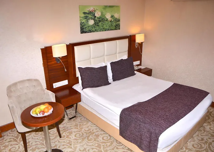 Hotel Asrin Business Kizilay