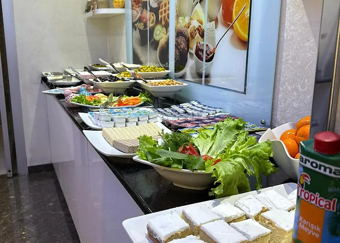 Asrin Business Kizilay Hotel