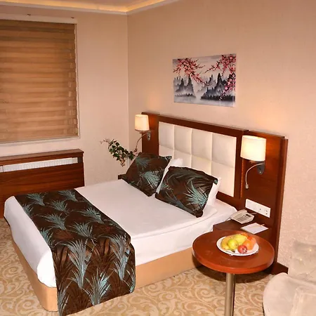 Asrin Business Kizilay Hotel 4*