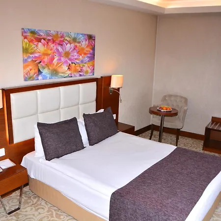 Asrin Business Kizilay Hotel Ankara
