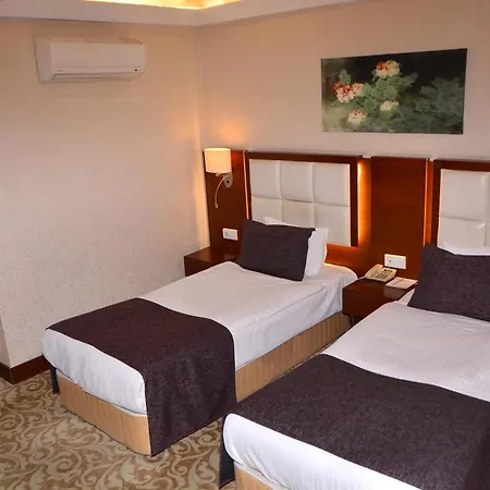 Asrin Business Kizilay Hotel 4*