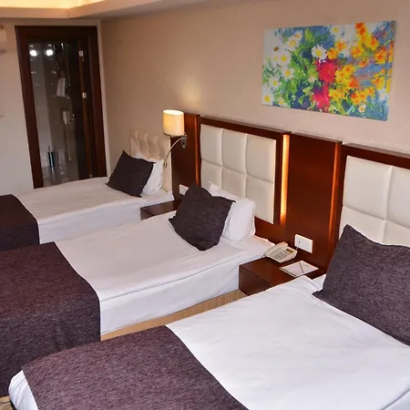 Asrin Business Kizilay 4* Ankara