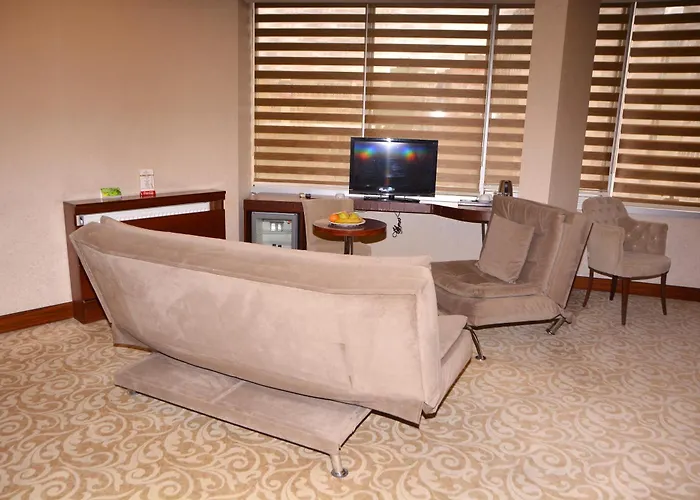 اسرين بيزنيس كيزيلاى 4*