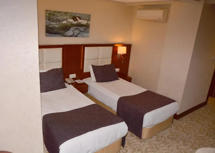 اسرين بيزنيس كيزيلاى